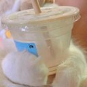 Sandra Wellington - @SandraW63022 - Twitter