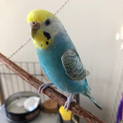 リュウペイさんのプロフィール画像