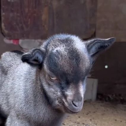 RobotonPro's profile picture. 