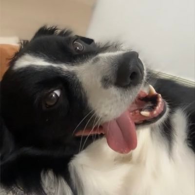 D2oさんのプロフィール画像