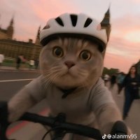 kevk0k0 (@ynewcs) 's Twitter Profile