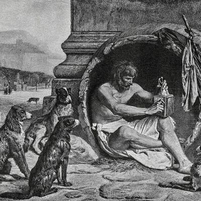 diogenes826866's profile picture. 