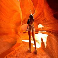 Bluebell_ (@blue_adellyn3) 's Twitter Profile