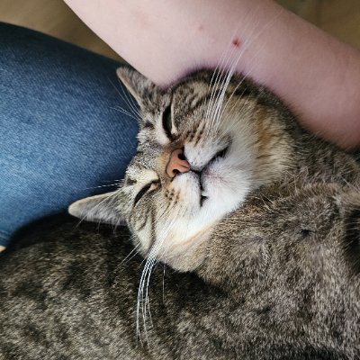 Outgonya's profile picture. Co ja robie tu?