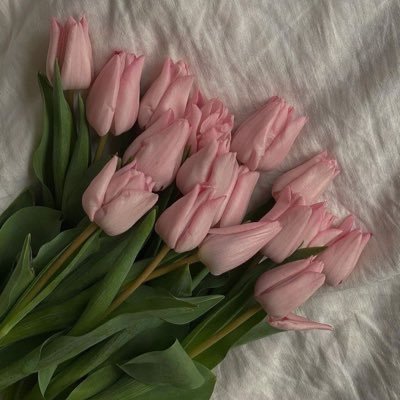 elvanacarr's profile picture. 