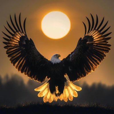 arunbaliga's profile picture. 