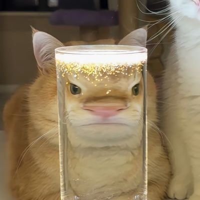 snmn1138031's profile picture. 看看