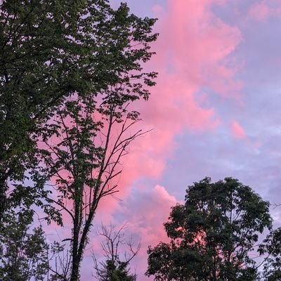 mjr2335's profile picture. 