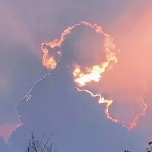 Aiden1342505's profile picture. 