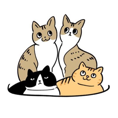 fumichan_0601's profile picture. ハチワレ13才／茶トラ9才／キジ白5才×2の猫達と夫と暮らしています／ハリーポッター・ディズニー🐭🦊🐰・ツイステ🐉🐬🦁☠️🤖好き趣味アカウント／たまに預かり猫ボランティアしています🐈‍⬛無言フォロー歓迎です🫶猫ちゃん垢フォロバ100%🙂‍↕️ #猫好きさんと繋がりたい