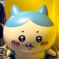 もち (@e_r_iii_e) 's Twitter Profile