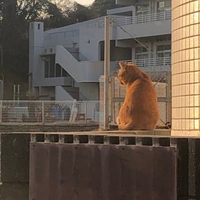惰性さんのプロフィール画像