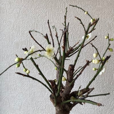 newhope0212's profile picture. 