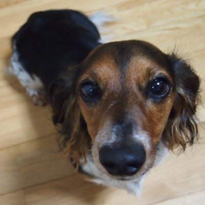 日常はマシニングセンタとNC旋盤によるものづくりに勤しみ、休日は愛犬とのお出かけを楽しんでいます
ものづくり(仕事)以外の事を中心に、ゆる~くいきます