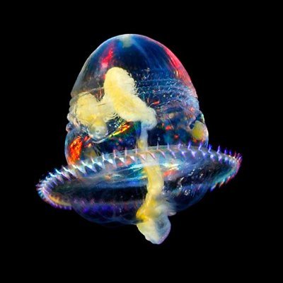 canard75770543's profile picture. 