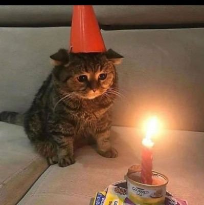 The first & original community that is dedicated to celebrating cats.feel free to share photos of your cat and cats with the community 🐈