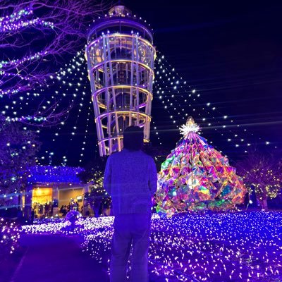 RUMION_Pokemon's profile picture. 