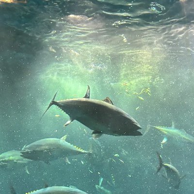 天然水さんのプロフィール画像