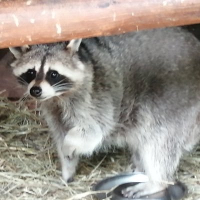 auusteen's profile picture. Am a free person with different perspectives😎 ✊💯(30BG)