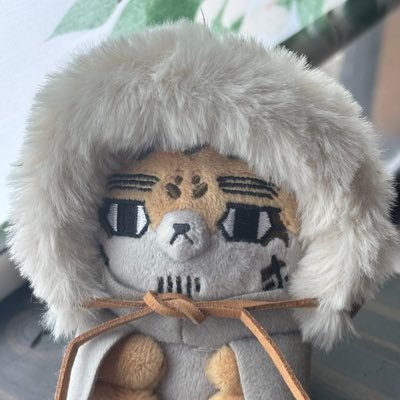 九州生まれ四国在住/昭和産/愛犬(保護犬)達とアニメ・漫画が栄養素/好きなものに囲まれて生きていたい!/金カム好き/手芸好き/釣り好き🎣/素敵💕って思ったら♡します😘無言フォロー失礼します(:/:ΦωΦ) 金カム界隈以外にも柴犬に反応しますw日常も📮します。