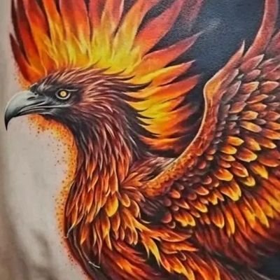 maso_tamayo's profile picture. 