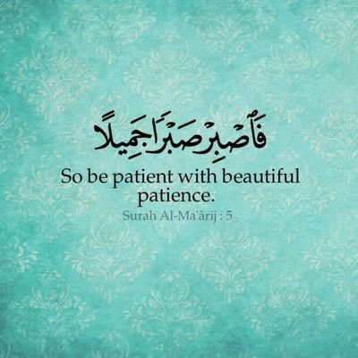 khan_zemo's profile picture. I am the moon, in all its phases
♥️🇵🇸🇰🇪