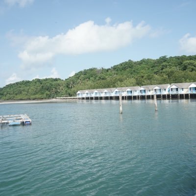 ChungKgg's profile picture. 