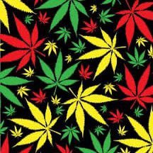 whereisxan1's profile picture. infatuation