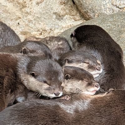 テフロンさんのプロフィール画像