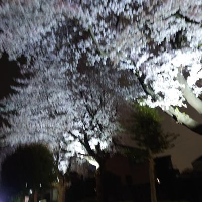 ユウキさんのプロフィール画像