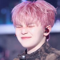 ˚ෆ*₊뾰˚ෆ*₊ (@woozi_dino0829) 's Twitter Profile