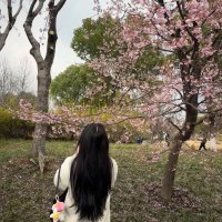 Miriam (@miriam064526) 's Twitter Profile