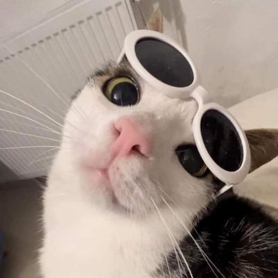 ⌜ผัดกะเพรา⌟ ⟡ MLEB ⟡さんのプロフィール画像
