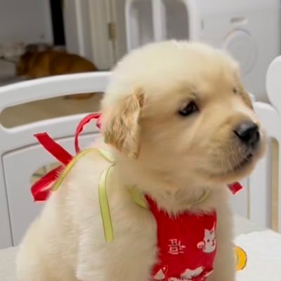 Alberti00435751's profile picture. 