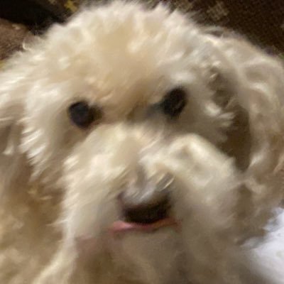 uemairuzo's profile picture. 仙台でダーツしてます ✌️ ダーツ垢フォロバします〜