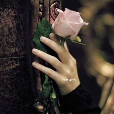 إن لـــم يؤمنــــوا بـــي، سأؤمــــن أنـــا وحــــدي🖇️✨