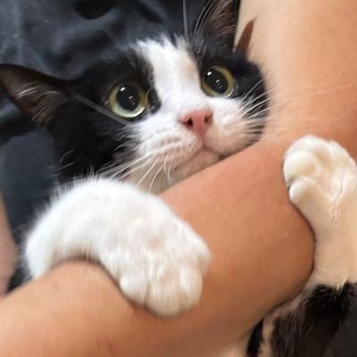 _pisgor_'s profile picture. 