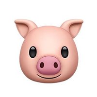 Piggy (@piggy490496) 's Twitter Profile