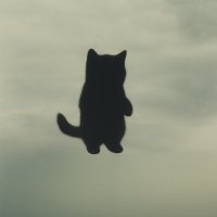 The Void (@thevoidonsol) 's Twitter Profile