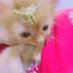 kitty (@roshni2211) Twitter profile photo kitty (@roshni2211) Twitter profile photo