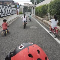わん☆ (@wan5go) 's Twitter Profile