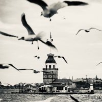 Umut0033 (@umut000333) Twitter profile photo