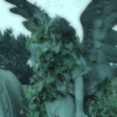 mildewkiss ཐིཋྀさんのプロフィール画像
