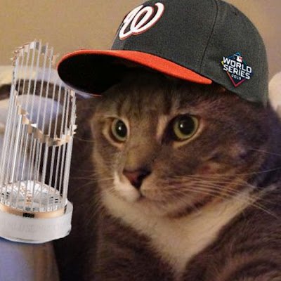 NorthCaroliNats's profile picture. Well, I'm back.
