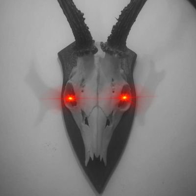 huntingHODL's profile picture. Noderunner⚡- Bitcoin - Hunting - Libertarian