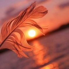 MAkbarali1098's profile picture. Kindness leads you to peace of heart.