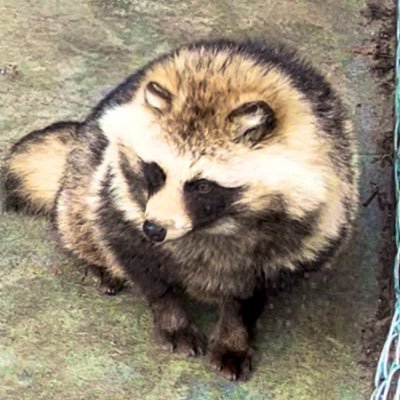 My friends, let me introduce you to Japan. / Rafiki zangu Waafrika, iangalieni Japan. / أصدقائي الأفارقة، انظروا إلى اليابان.
