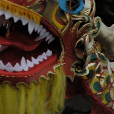 datatub's profile picture. I'll code my way out of it