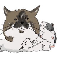 ベオフォンス予備 (@beofonsu2901412) 's Twitter Profile
