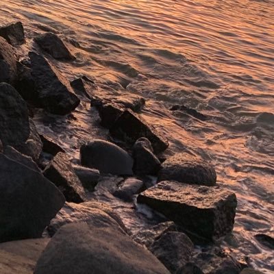 kulkas_99pintu's profile picture. 